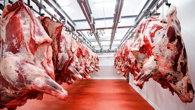 واردات گوشت در بهترین شرایط بهداشتی