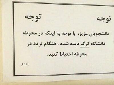 واکنش محیط‌زیست تهران از دیده شدن گرگ در دانشگاه آزاد: هر وقت به انسان‌ها ضرر زد، زنده‌گیری می‌کنیم! | رویداد24