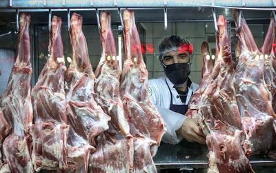 قیمت منطقی گوشت در بازار چند؟ | اقتصاد24