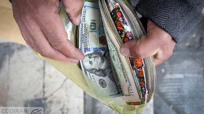 خضریان: توزیع ارز مسافرتی متوقف می‌شود