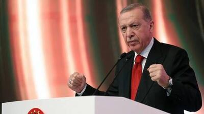 وزیر خارجه رژیم صهیونیستی اردوغان را به یهودستیزی متهم کرد