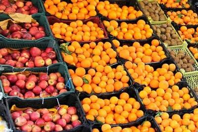 آغاز توزیع میوه شب عید در کهگیلویه و بویراحمد/پرتقال ۲۸۰۰۰تومان