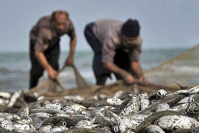 صید ماهی در خوزستان ممنوع شد | رویداد24