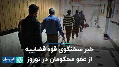 خبر سخنگوی قوه قضاییه از عفو محکومان در نوروز