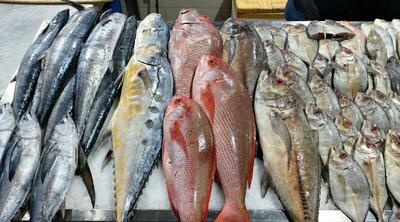 قیمت انواع ماهی شب عید چند؟ | اقتصاد24