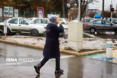 (تصاویر) بارش باران در مشهد