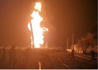 آتش گرفتن یک درخت در قیطریه تهران | باز هم بالن آرزوها حادثه آفرید | تصاویر