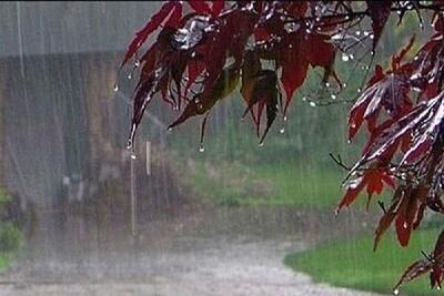 بارش باران در تهران از روز جمعه