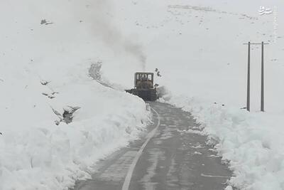 فیلم/ بارش سنگین برف در گردنۀ گلواری لردگان