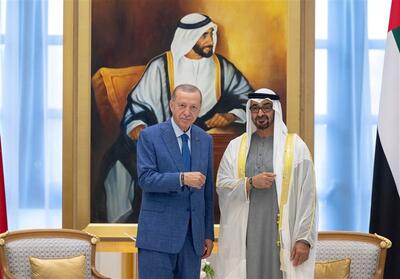 دعوت اردوغان از آل نهیان برای سفر به ترکیه - تسنیم