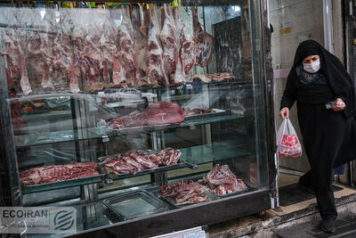 واردات؛ التیام‌بخش کمبود گوشت در کشور