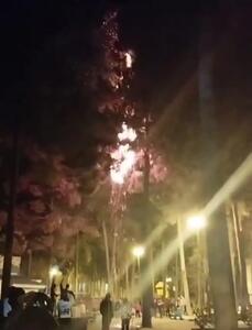 (ویدئو) آتش گرفتن درخت در شب چهارشنبه‌سوری