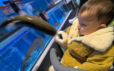 (ویدئو) پریدن یک ماهی از آکواریوم به آغوش کودک!
