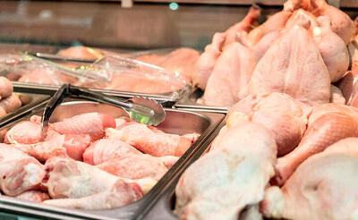 هر کیلو مرغ چند شد؟ | جدیدترین قیمت سینه، فیله و ران مرغ در مغازه ها و میادین را ببینید