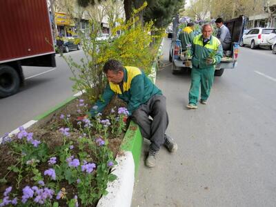 کاشت ۳ میلیون بوته گل در سطح شهر ارومیه