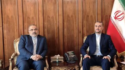 دیدار امیرعبداللهیان با سفیر جدید ایران در تونس