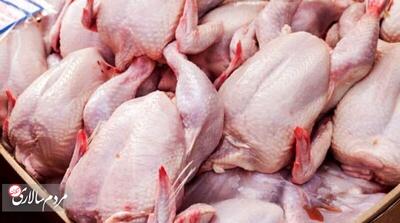 قیمت مرغ در میادین به زیر ۸۰ هزار تومان رسید - مردم سالاری آنلاین