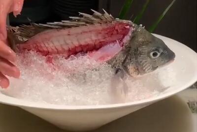 خطرناک ترین غذای ویتنام؛ سرو ماهی زنده برای مهمانان ویژه + فیلم