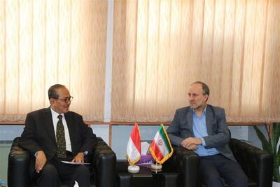 رئیس سازمان امور دانشجویان با سفیر اندونزی در ایران دیدار و گفتگو کرد