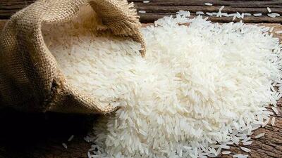 توقف حمایت از تولید برنج ایرانی با عهدشکنی دستگاه‌های مسئول