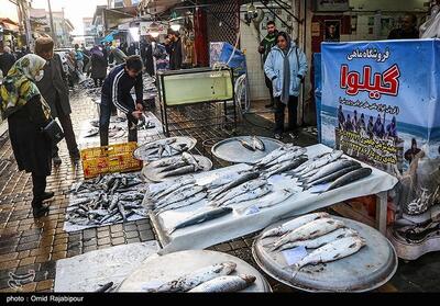 فروش 51 میلیون تومانی یک قطعه ماهی در بازار فریدونکنار - تسنیم