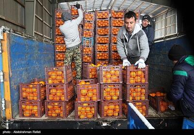 توزیع 530 تن سیب و پرتقال شب عید در چهارمحال و بختیاری - تسنیم