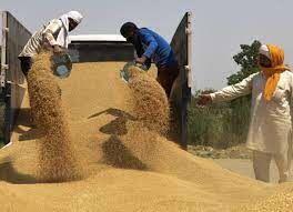 ذخایر گندم هند به پایین‌ترین سطح در 7 سال گذشته رسید