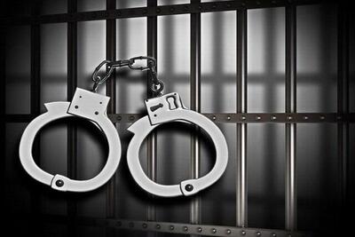 بازداشت یک دختر کلاهبردار ۲۰ ساله در اهواز | اقتصاد24