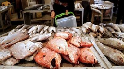 ببینید/ فروش ماهی ۵۱ میلیون تومانی در بازار شمال