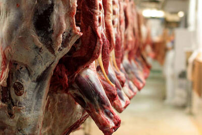 پیش‌بینی ثبات قیمت گوشت در روزهای پایانی سال