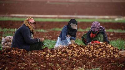 سوریه برای کنترل افزایش شدید قیمت‌ها، مواد غذایی از مصر وارد می‌کند | خبرگزاری بین المللی شفقنا