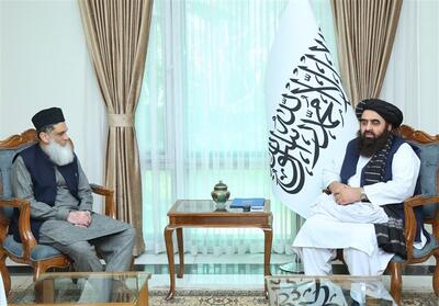 وزیر خارجه طالبان: دولت جدید پاکستان سیاست مثبت در قبال افغانستان اتخاذ کند - تسنیم