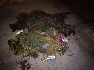 دستگیری ۳۰ متخلف شکار و صید در مازندران