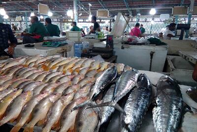 اعلام قیمت جدید ماهی قزل آلا در آستانه شب عید | اقتصاد24