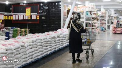 قیمت برنج دوباره اوج می‌گیرد؟ - مردم سالاری آنلاین
