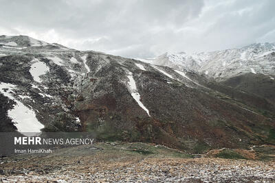 بارش برف در مناطق کوهستانی استان زنجان در جریان است