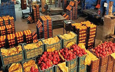 سازمان تعاون روستایی خبر داد: عرضه میوه تنظیم بازار با تخفیف ۲۵ تا ۳۰ درصد | خبرگزاری بین المللی شفقنا
