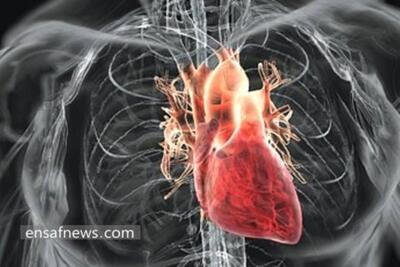 تاثیر بیماری های قلبی روی چشم | پایگاه خبری تحلیلی انصاف نیوز