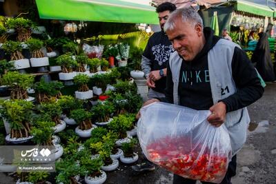(تصاویر) بازار گل محلاتی در آستانه عید نوروز