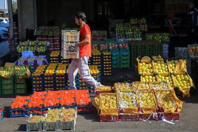 توزیع بیش از ۴۰۰ تن انواع میوه شب عید در آذربایجان غربی