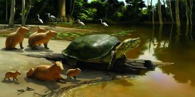 کشف لاکپشت هایی که با انسان های اولیه همزیست بودند