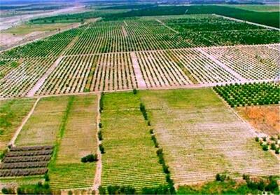 اجرای پروژه کاداستر ۲۹۰ هزار هکتار در قالب سند تک‌برگ حدنگاری اراضی کشاورزی لرستان