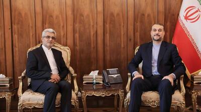 دیدار امیرعبداللهیان با سفیر جدید ایران در نیجر