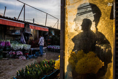 عکس/ بازار گل محلاتی در آستانه سال نو