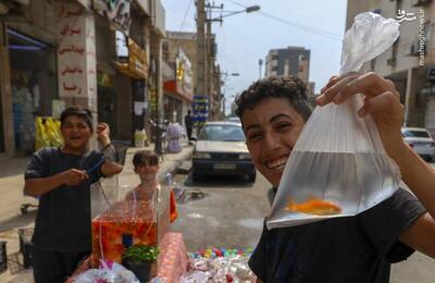 عکس/ بازار  هفت‌سین  در خوزستان