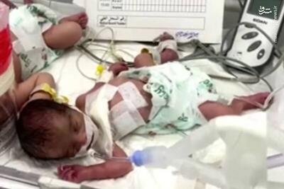 فیلم/ هیچ نوزادی به وزن طبیعی در غزه به‌دنیا نمی‌آید