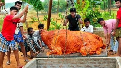 فیلم/ فرآیند کباب کردن گاو 300 کیلویی در تنور به روش جالب سه جوان مشهور هندی