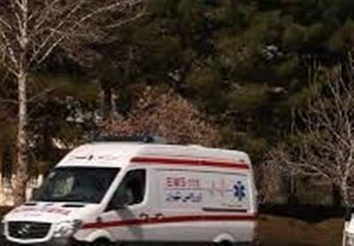 خرید 2 دستگاه آمبولانس در فارس توسط یک خانواده‌ خیر - تسنیم