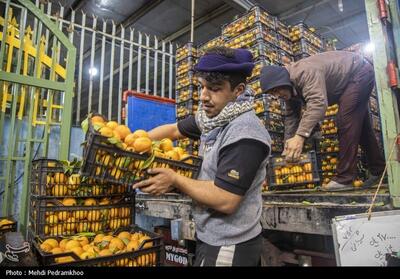توزیع میوه شب عید در سیستان و بلوچستان آغاز شد - تسنیم