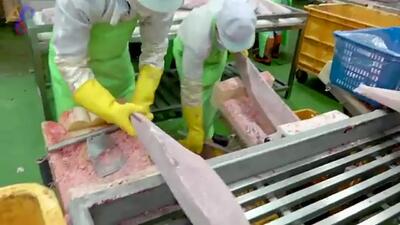 (ویدئو) فرآیند برش زدن 20 هزار کیلوگرم ماهی تن به روش دیدنی کره ای ها